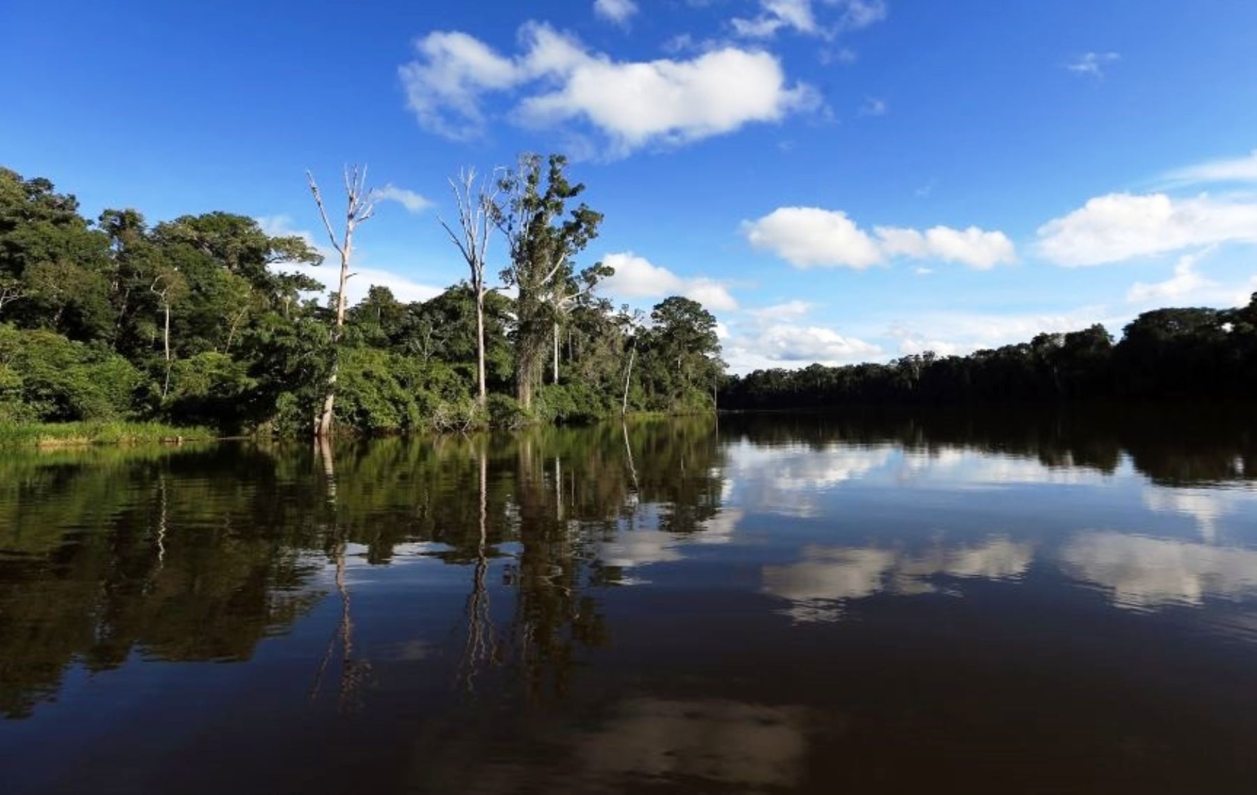 Parque Nacional del Manu: conoce el paraíso amazónico que celebra su 46 aniversario. ANDINA/Difusión