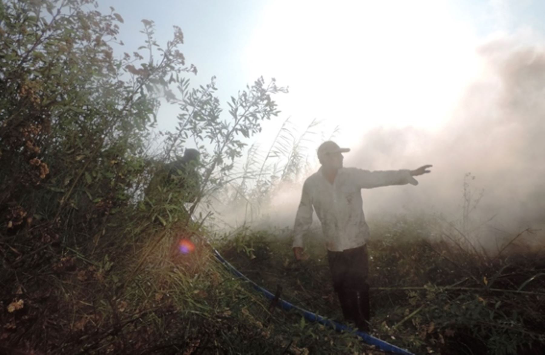 Guardaparques sofocaron incendio forestal en Santuario Nacional Lagunas de Mejía, en Arequipa.