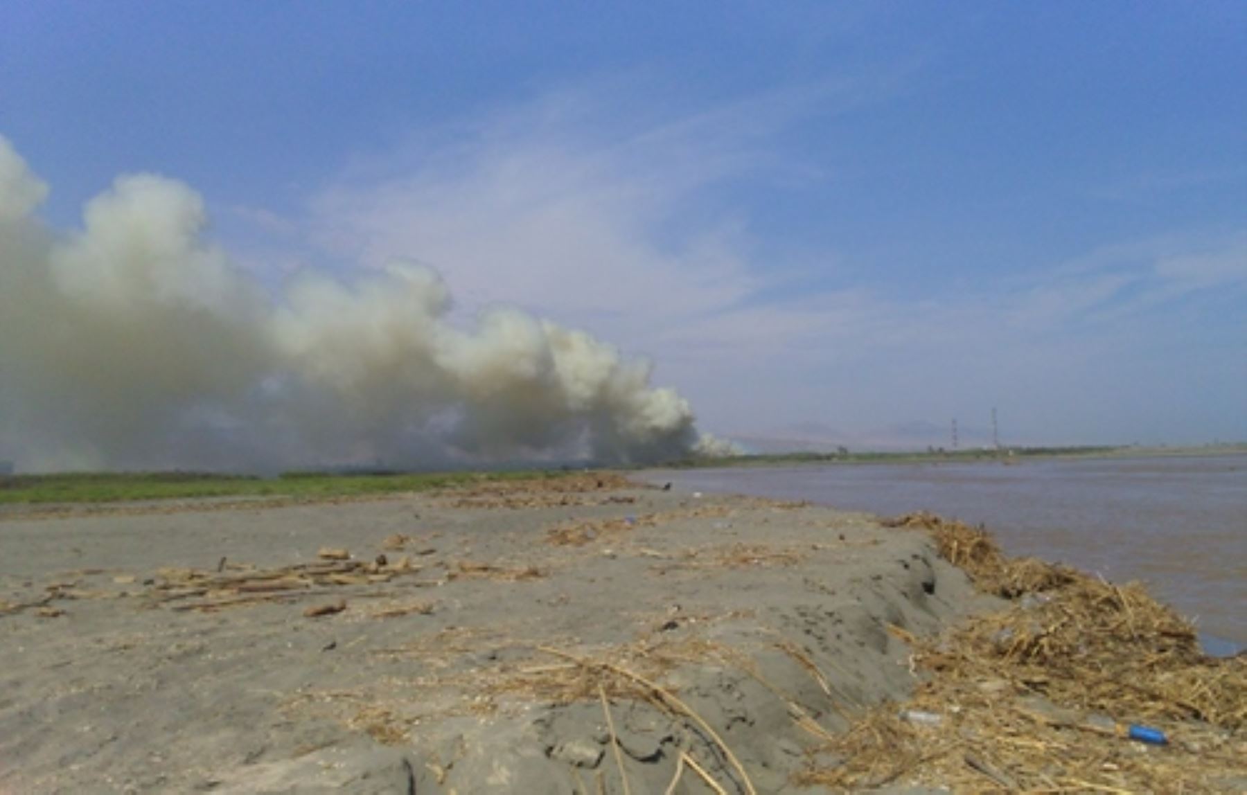 Guardaparques sofocaron incendio forestal en Santuario Nacional Lagunas de Mejía, en Arequipa.