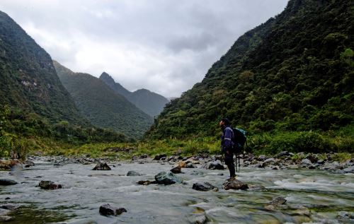 El Bosque Río Abiseo es incluido en Red Iberoamericana de Bosques Modelo. Foto: ANDINA/Difusión