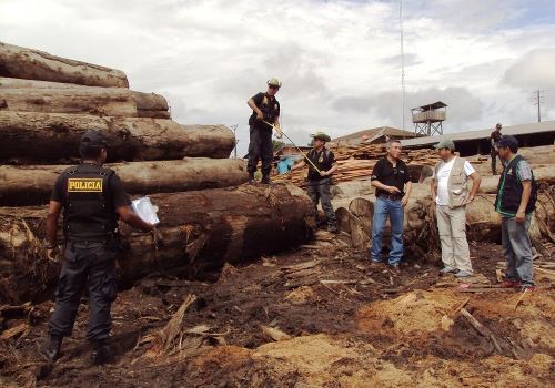 Más de 7 millones de pies tablares de madera ilegal son inmovilizados en Ucayali. Foto: ANDINA/Difusión.