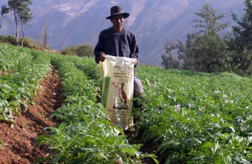 Agricultor. Foto: ANDINA/archivo