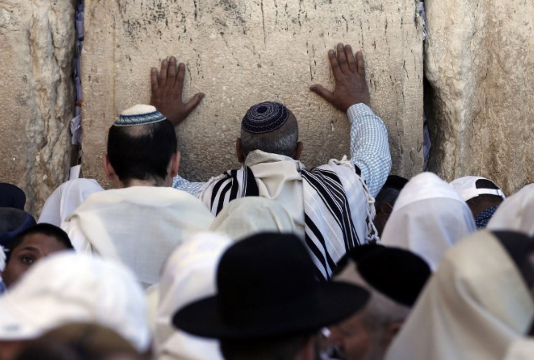 Judios oran en el Muro de los Lamentos en Jerusalén Foto: AFP