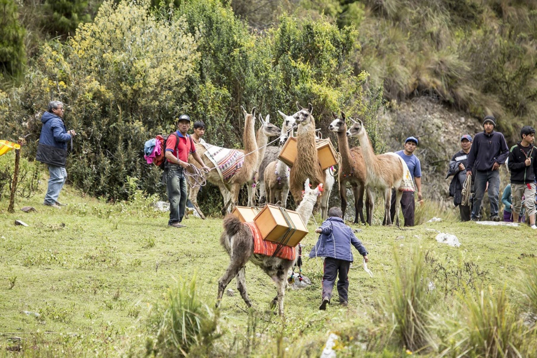 Habilitan nueva ruta turística en el Parque Nacional de Huascarán. Foto: ANDINA/Difusión.