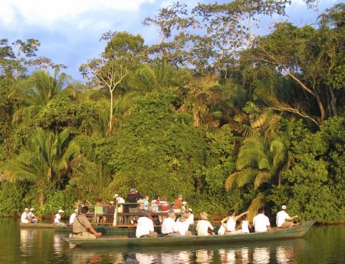 Evaluarán conservación de la biodiversidad en Madre de Dios. ANDINA/Difusión