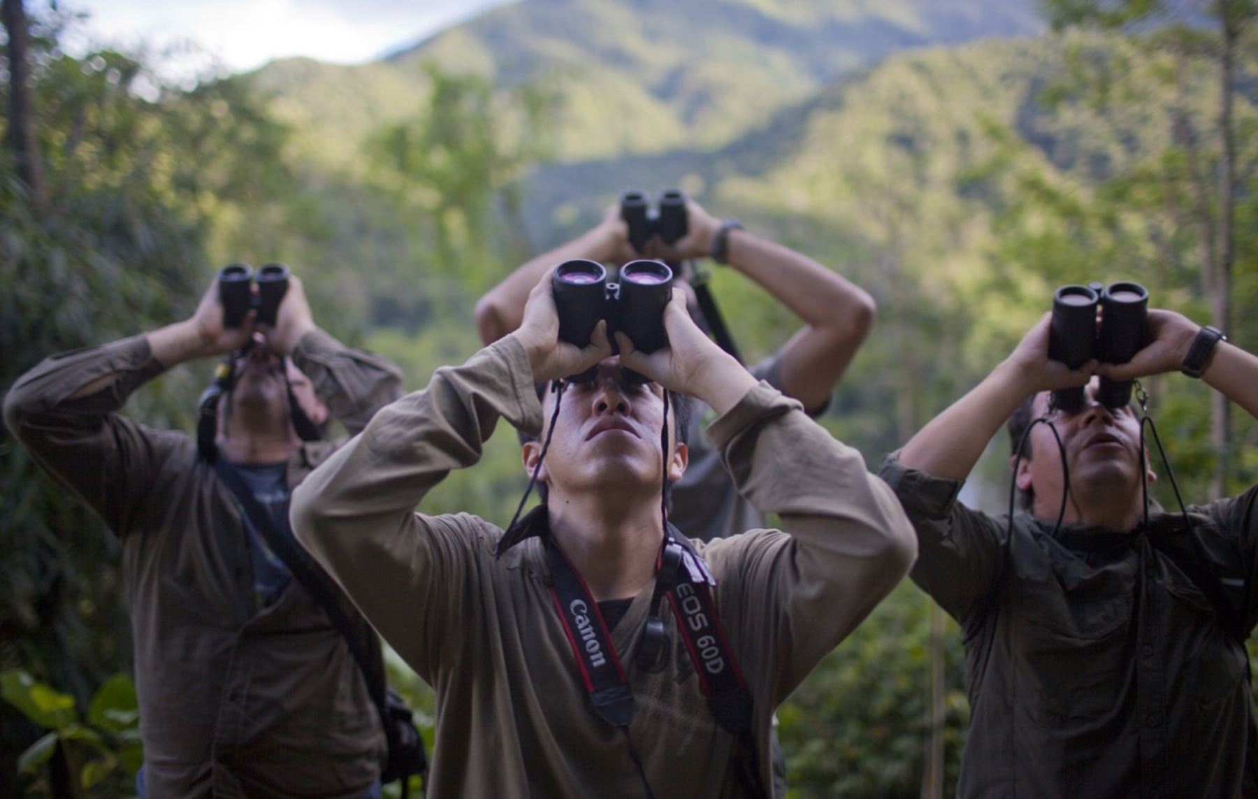Los interesados pueden participar en concurso para observar aves en la Reserva Nacional de Tambopata.