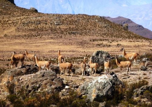 Áreas Naturales de La Libertad integrarían destacado circuito turístico Ruta Moche. Foto: ANDINA/Difusión.