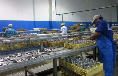 Planta procesadora de pescado. Foto: Cortesía