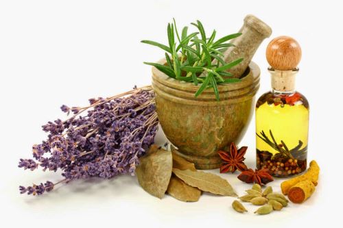 La biodiversidad del Perú brinda una serie de plantas medicinales que fortalecen nuestro sistema inmune y combaten con eficacia los síntomas de infecciones como el coronavirus, que afectan principalmente las vías respiratorias. ANDINA/Difusión