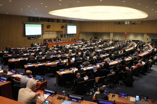 Reunión de las Naciones Unidas sobre bosques.
