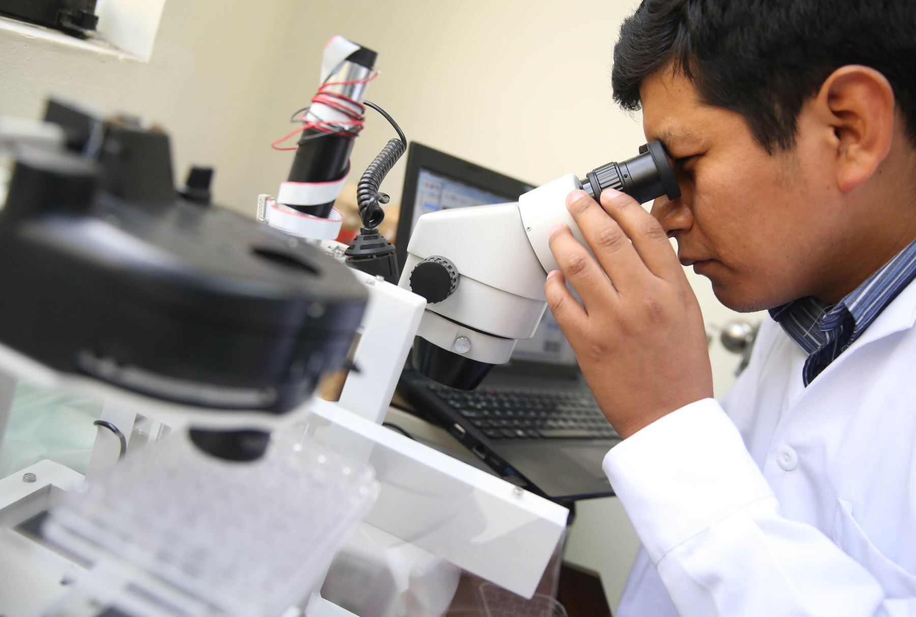 Científicos peruanos diseñan máquina de microgravedad  que ayudará a conocer el cambio de células cancerígenas en células sanasFoto: ANDINA/Oscar Farje Gomero.