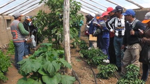 Yachachiq se capacitaron en Ica y Huancavelica.