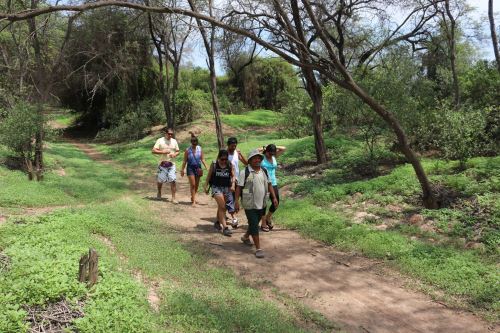 Implementarán ruta para la práctica del trekking en Santuario de Pómac. INTERNET/Medios
