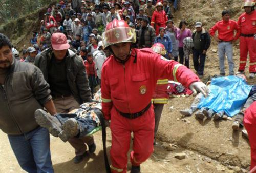 Foto: ANDINA/Percy Hurtado Santillán.