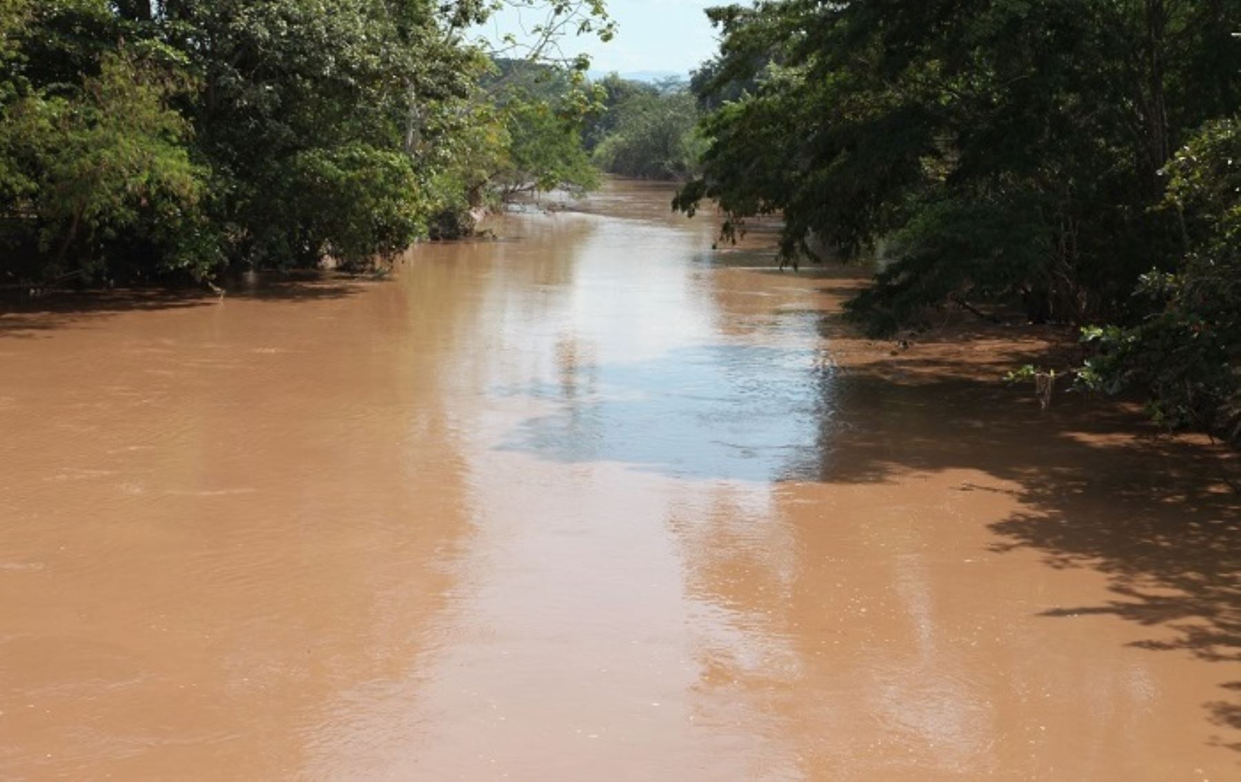 La calidad del agua del río Huallaga se ve afectada por el vertimiento de aguas residuales, afirma la ANA.