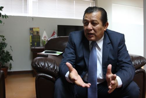 Foto: ANDINA/Juan Carlos Guzmán.