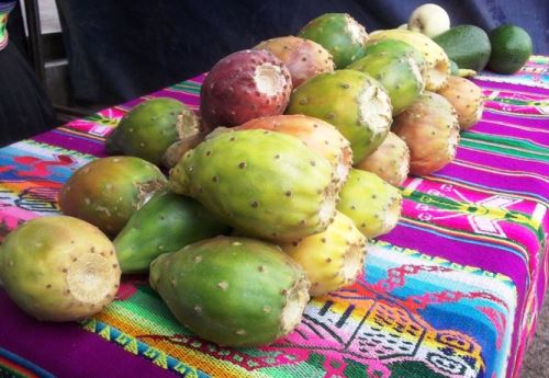 Formidable por donde se la mire, la tuna es un fruto oriundo de Perú que destaca no solo por sus excepcionales atributos nutricionales y delicioso sabor que lo convierten en un superalimento, sino también por su extraordinaria capacidad para crecer en zonas donde escasea el agua, por lo que se considera un cultivo prodigioso que contribuye a una alimentación más sostenible y adaptable al cambio climático. ANDINA/Difusión