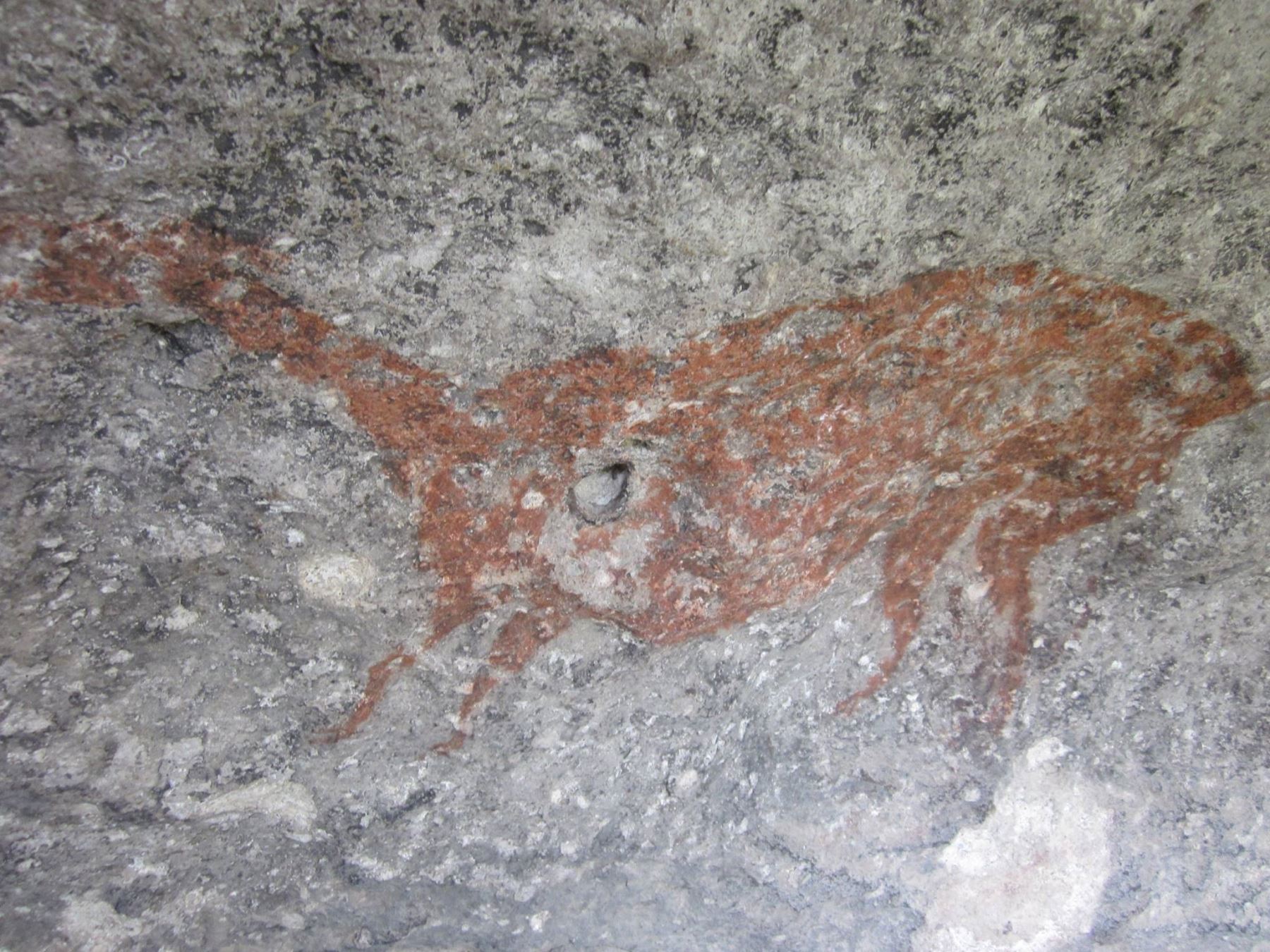 Pintura rupestre en una de las cuevas de la reserva de Pampa Galeras. Foto: Sernanp, Reserva Pampa Galeras.