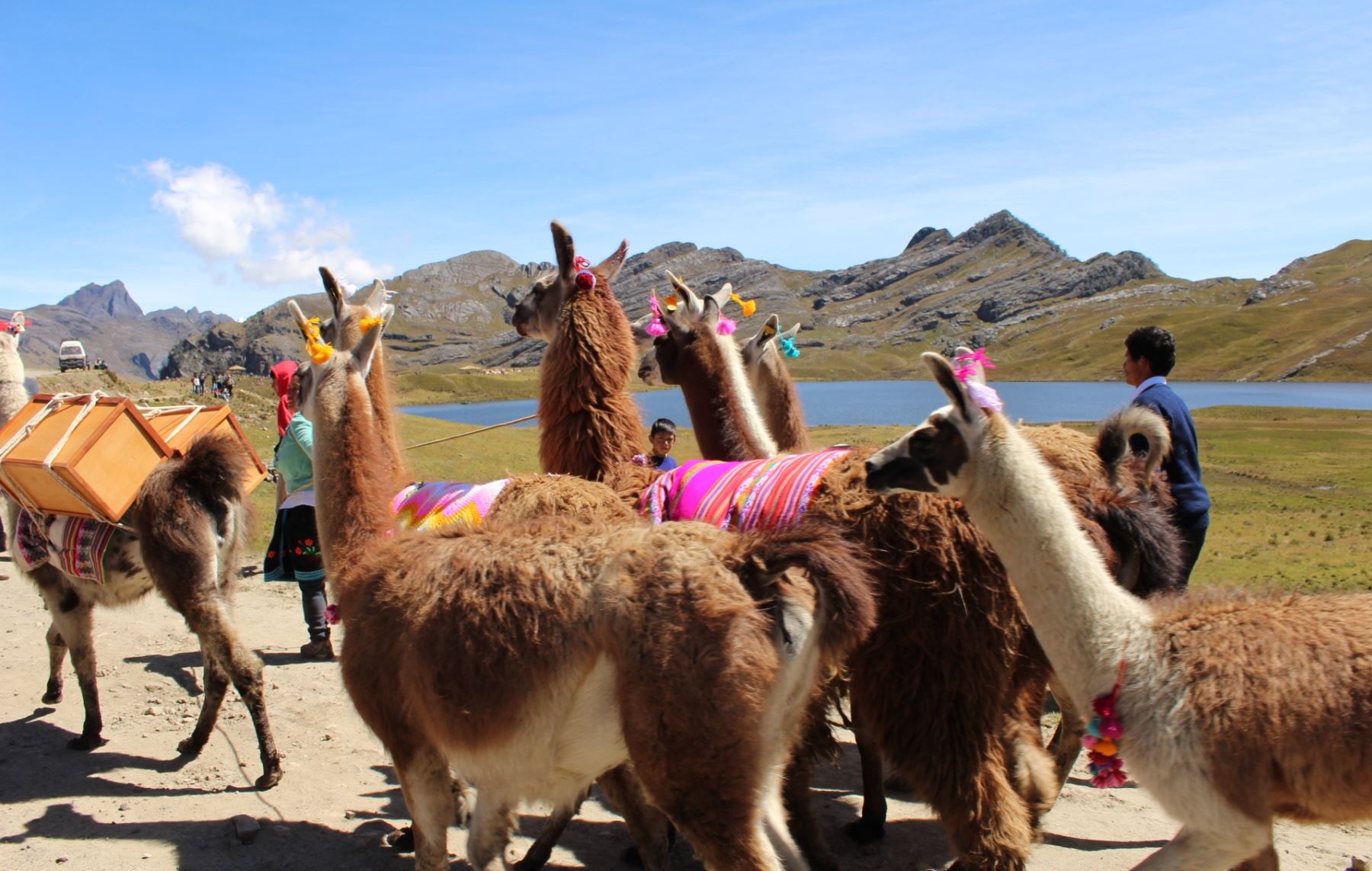 El agroturismo es la nueva apuesta de desarrollo sostenible con conservación en el Parque Nacional Huascarán. ANDINA/Sernanp