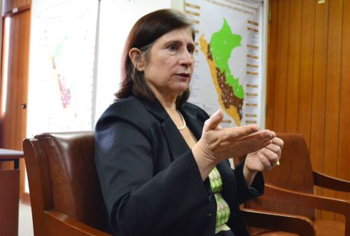 Foto. ANDINA/archivo.