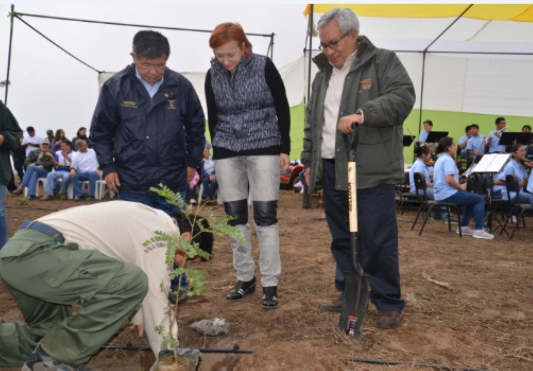 Inician forestación de Reserva de Lachay con instalación de 1,000 plantones. Foto: ANDINA/Difusión.