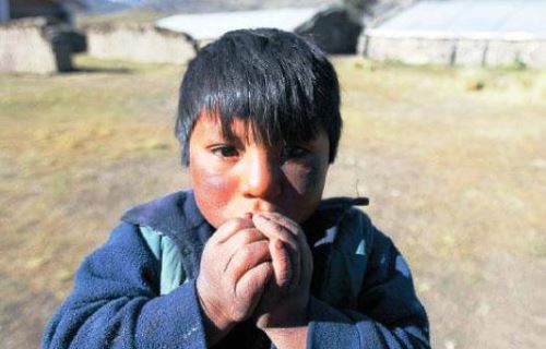 En la Sierra central se prevé temperaturas por debajo de los 0 grados Celsius en  zonas sobre los 3800 m.s.n.m. ANDINA/Difusión