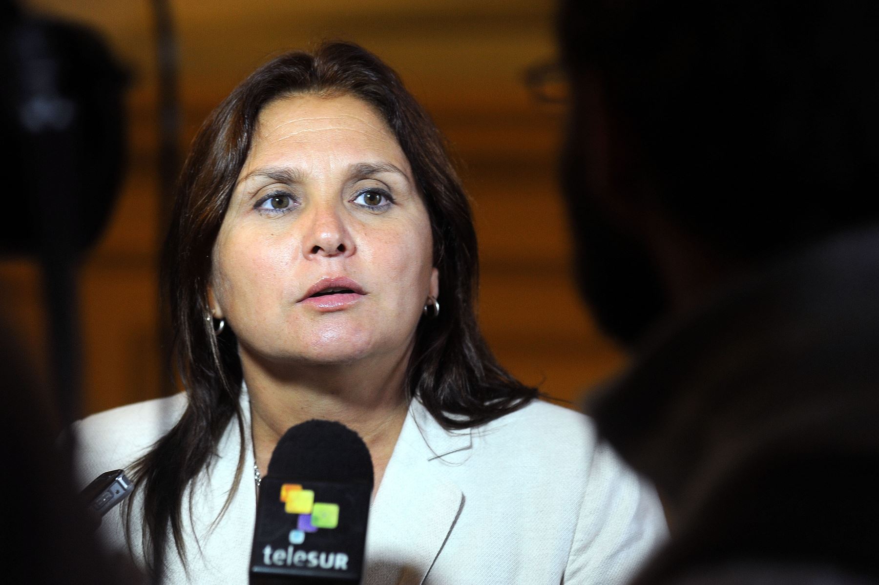 Legisladora Marisol Pérez Tello. ANDINA/Difusión
