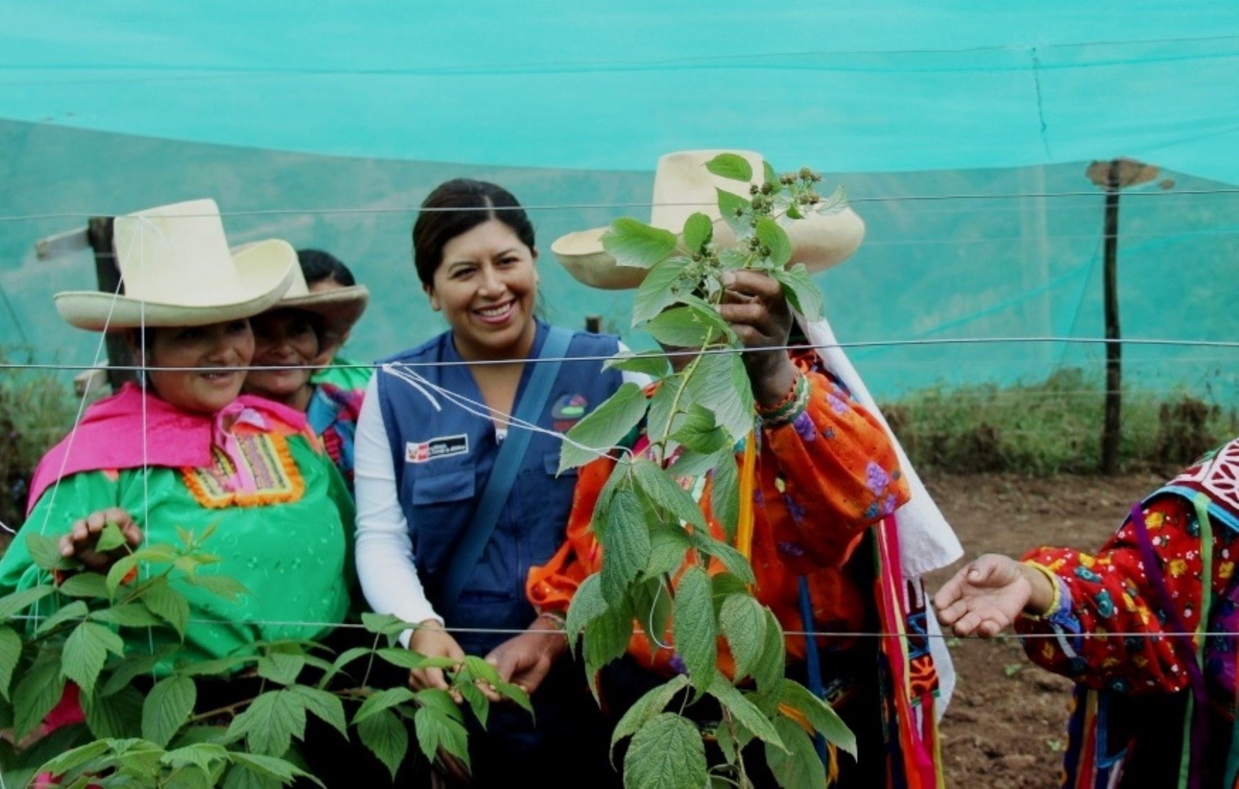 Mujeres productoras de Cañaris.Foto:  ANDINA/Difusión.