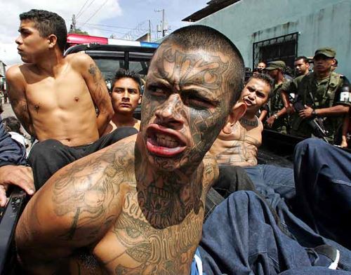 Mara salvatrucha