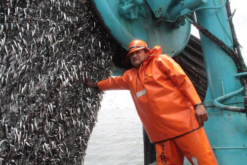 Pesca de anchoveta. Foto: ANDINA/Difusión.
