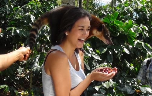 Turismo en Chanchamayo. ANDINA