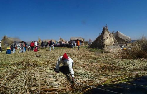 BBC Mundo narra la disputa de los Uros por dominar el negocio de las islas flotantes. ANDINA
