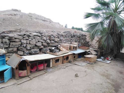 Sitio arqueológico en la huaca Los Laureles, Chorrillos. Foto: Contraloría