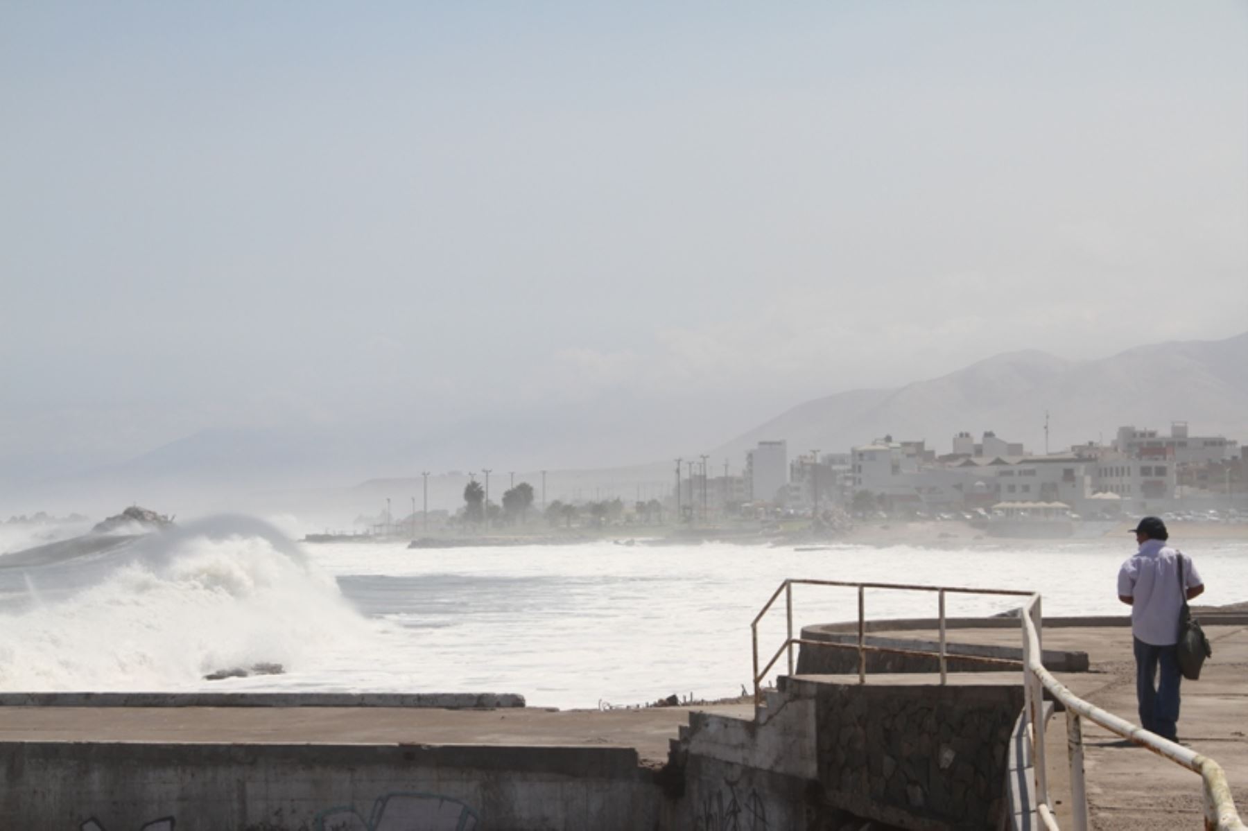 Foto: ANDINA/Víctor Silva.