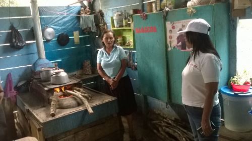 En la región Huánuco el proyecto Noa Jayatai tiene 45 planes productivos en ejecución.