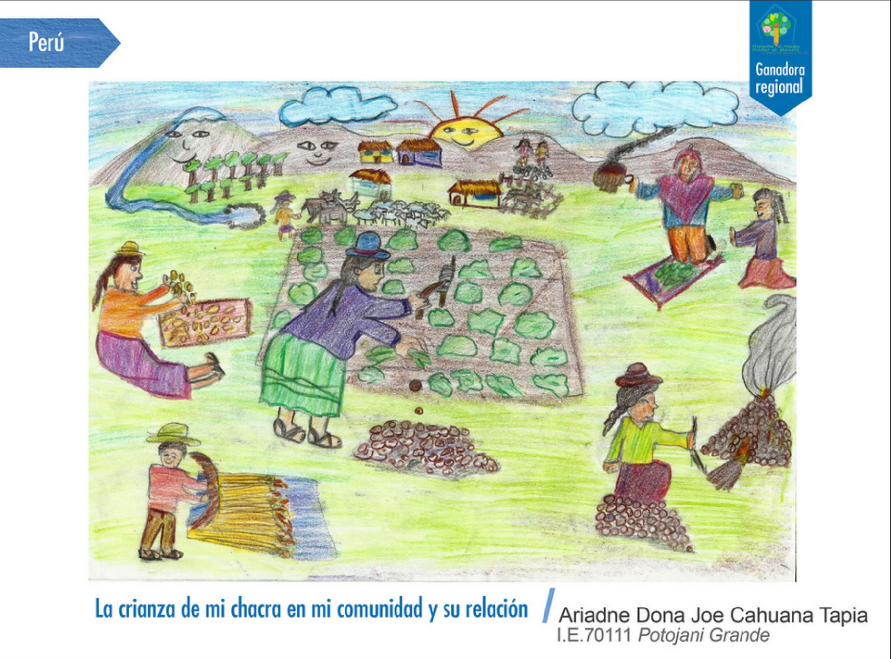 Dibujo con el que la niña puneña Ariadne Cahuana ganó concurso regional de la FAO. Andina/Difusión