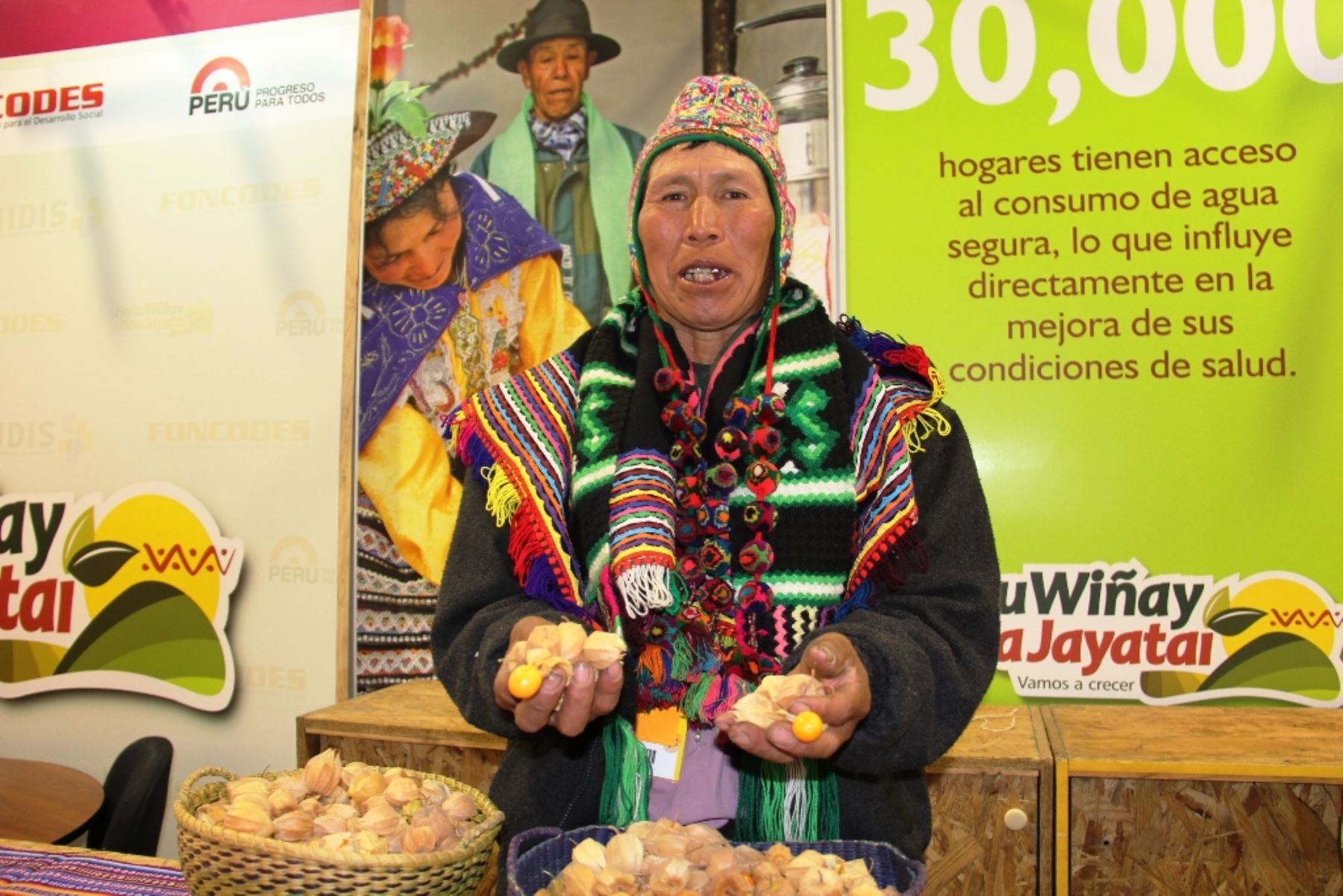 Aguaymanto orgánico de Huancavelica bate récord de ventas en Mistura 2015. Foto: ANDINA/Difusión.