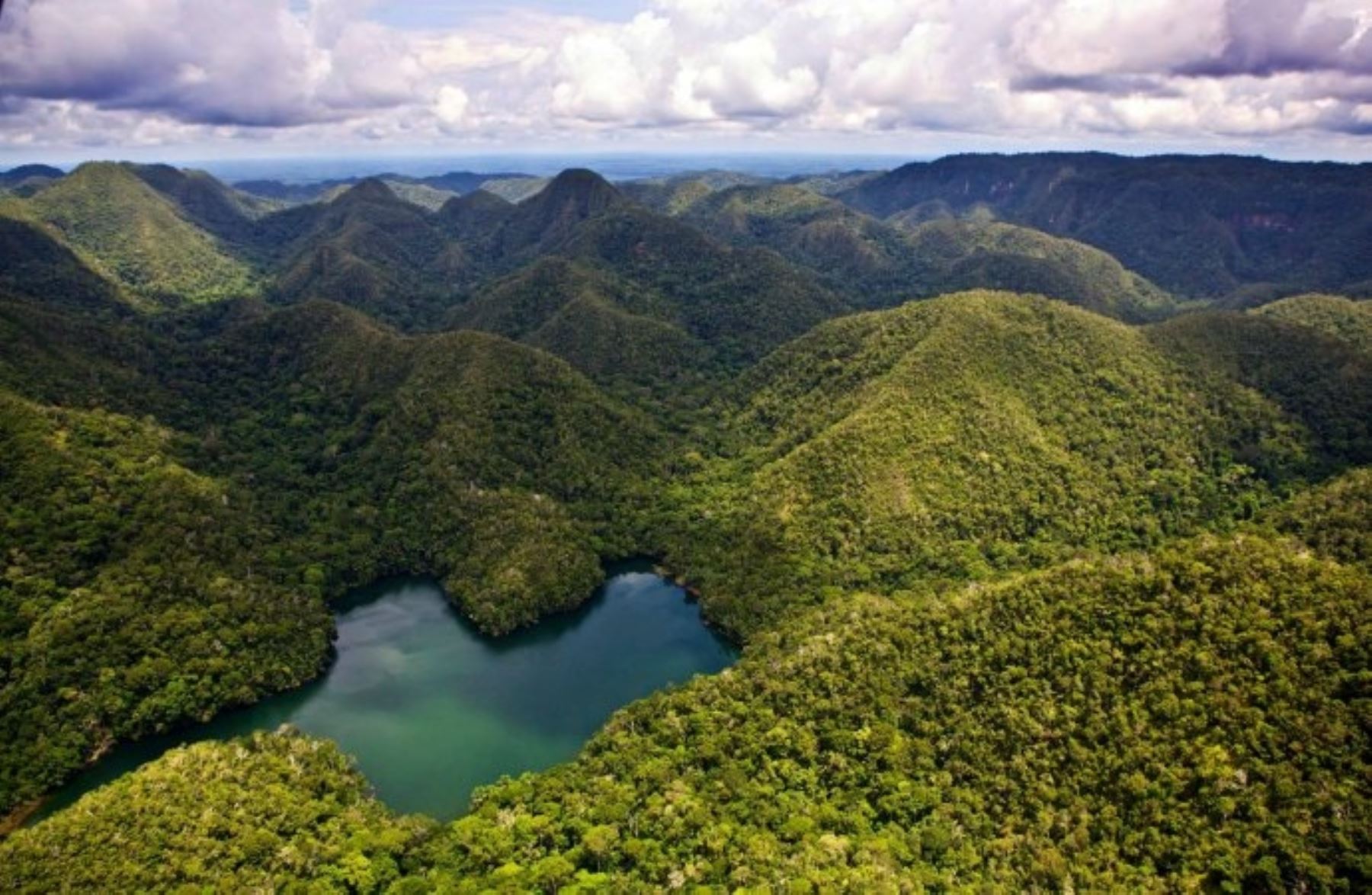 Zona reservada Sierra del Divisor, ubicada entre los departamentos de Loreto y Ucayali, aspira a convertirse en parque nacional.