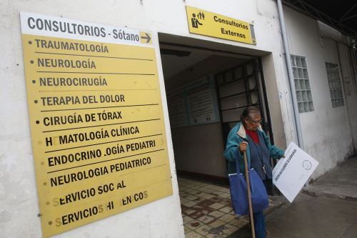 Foto: ANDINA/Juan Carlos Guzmán.