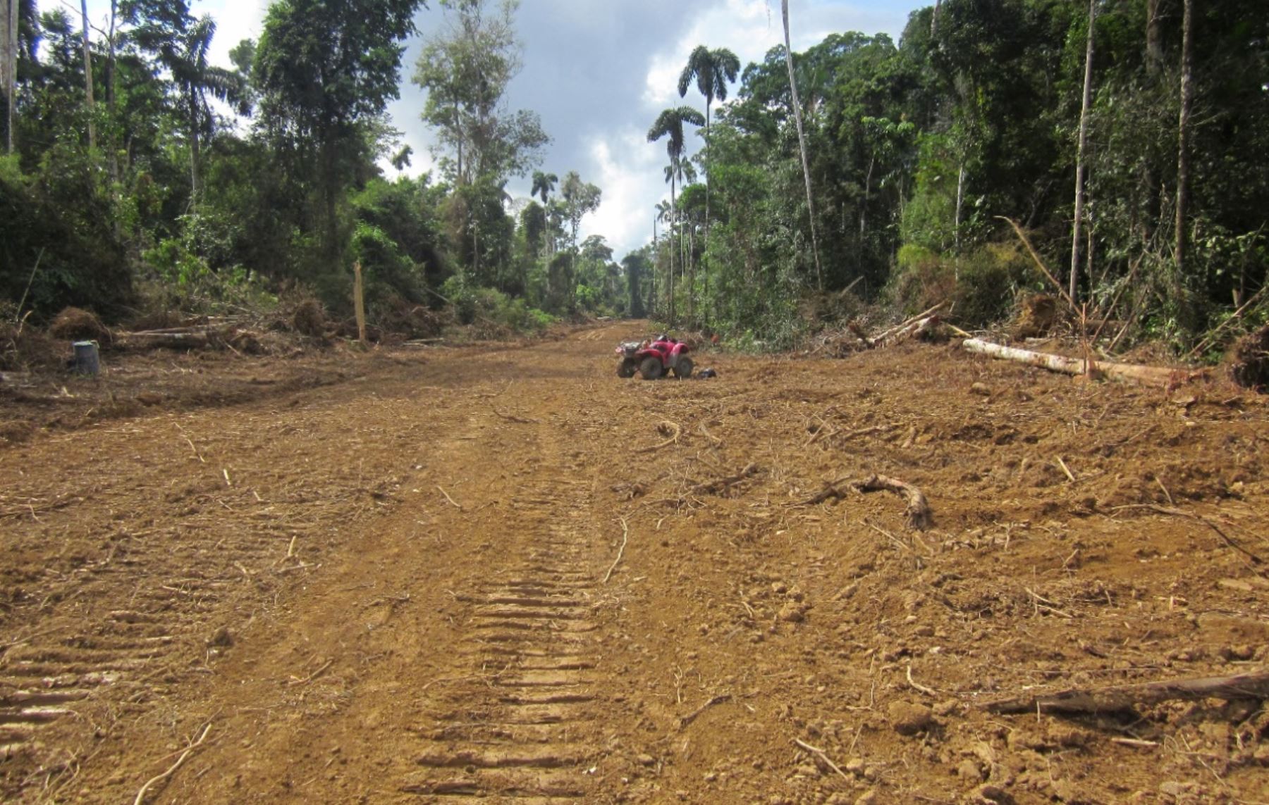 Sernanp rechaza la construcción de esta carretera porque impactaría negativamente en reserva comunal.