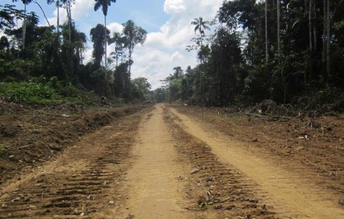 Abren proceso a gobernador regional de Madre de Dios por construcción de carretera en zona de amortiguamiento de Reserva del Manu.