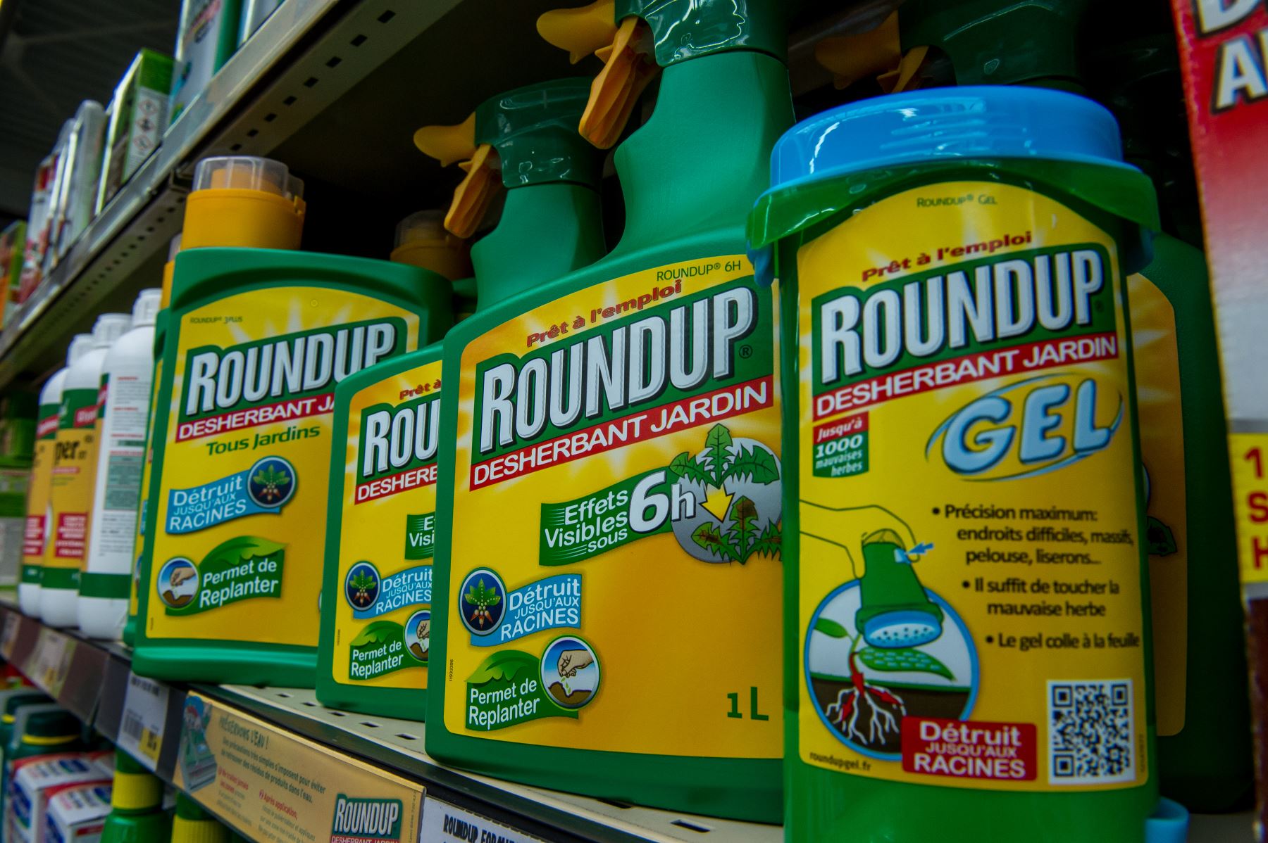 Herbicida popular del gigante estadounidense de biotecnología de Monsanto en centros de jardinería. Foto: AFP
