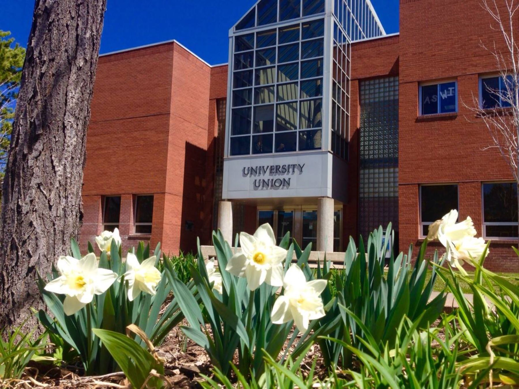 Universidad del Norte de Arizona. Foto: Facebook/Northern Arizona University