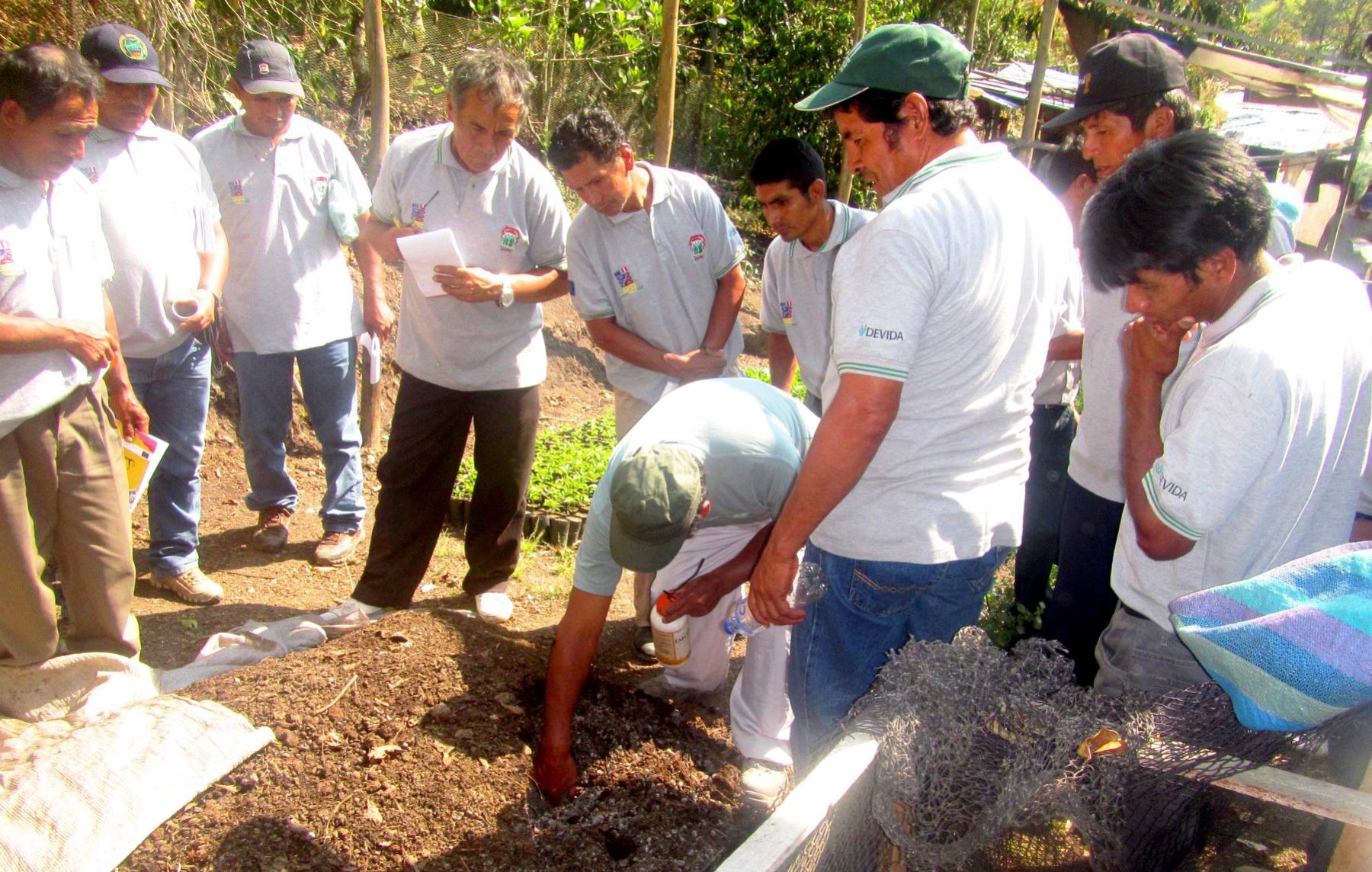 Agricultores del Vraem aprenden sobre cultivo de granadilla durante pasantía en Oxapampa, Pasco. ANDINA