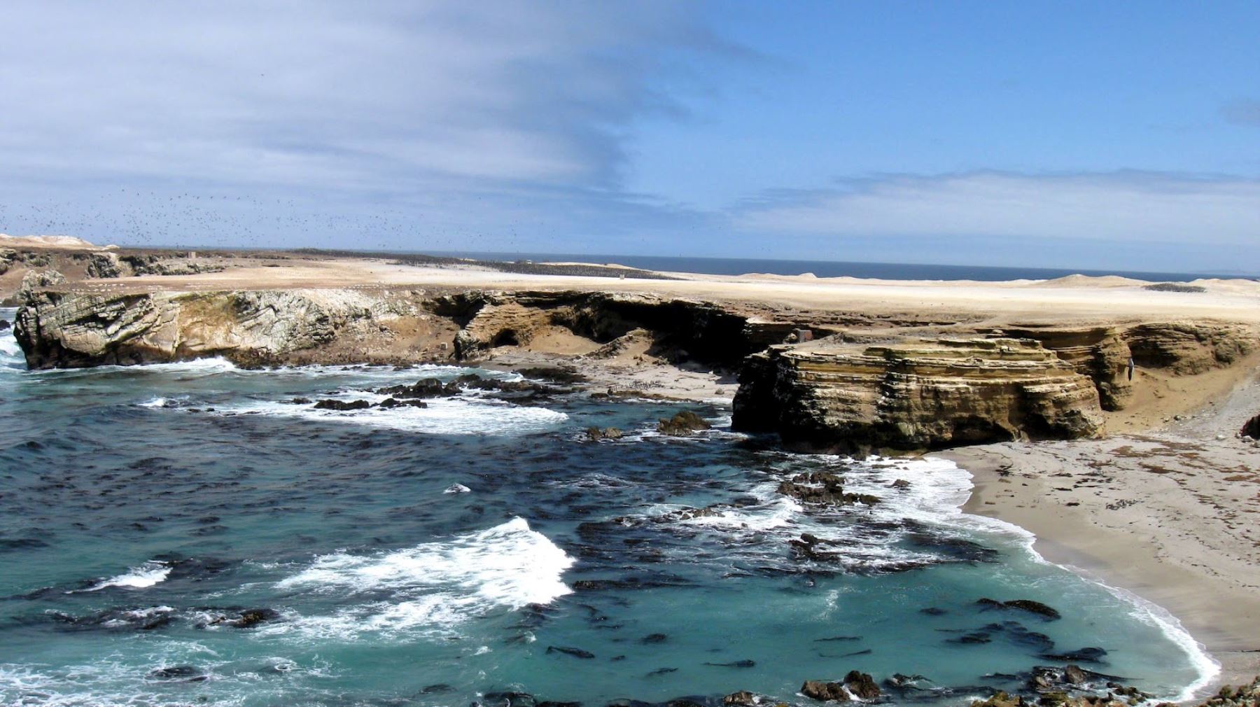 Reserva nacional de Punta San Juan, en Ica, será nuevo destino turístico el...