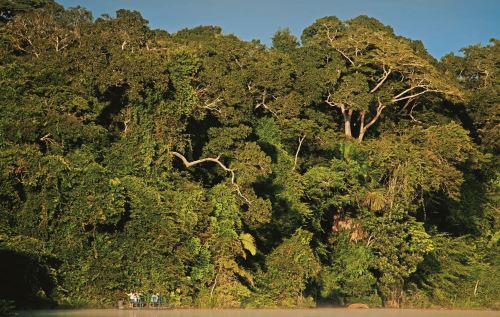 La ONU distinguirá proyectos de conservación ambiental que se ejecuta en el Parque Nacional Bahuaja Sonene.