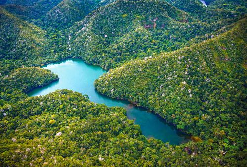 El gigante verde mide 1.3 millones de hectáreas desplegados entre las regiones Ucayali y Loreto y fue esperado por muchos años. ANDINA/Difusión