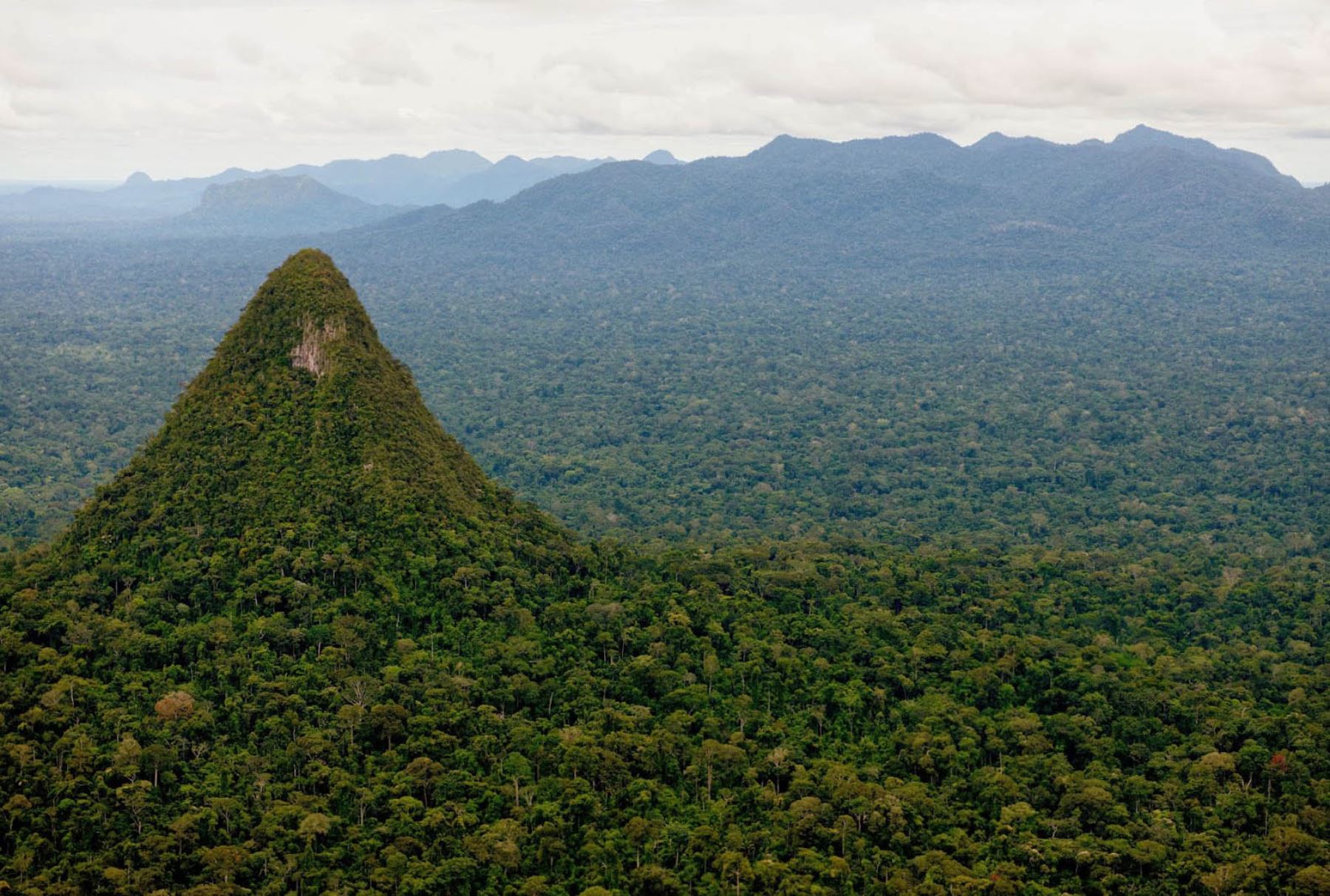 Un millón de dólares donará Andes Amazon Fund al Parque Nacional Sierra de Divisor