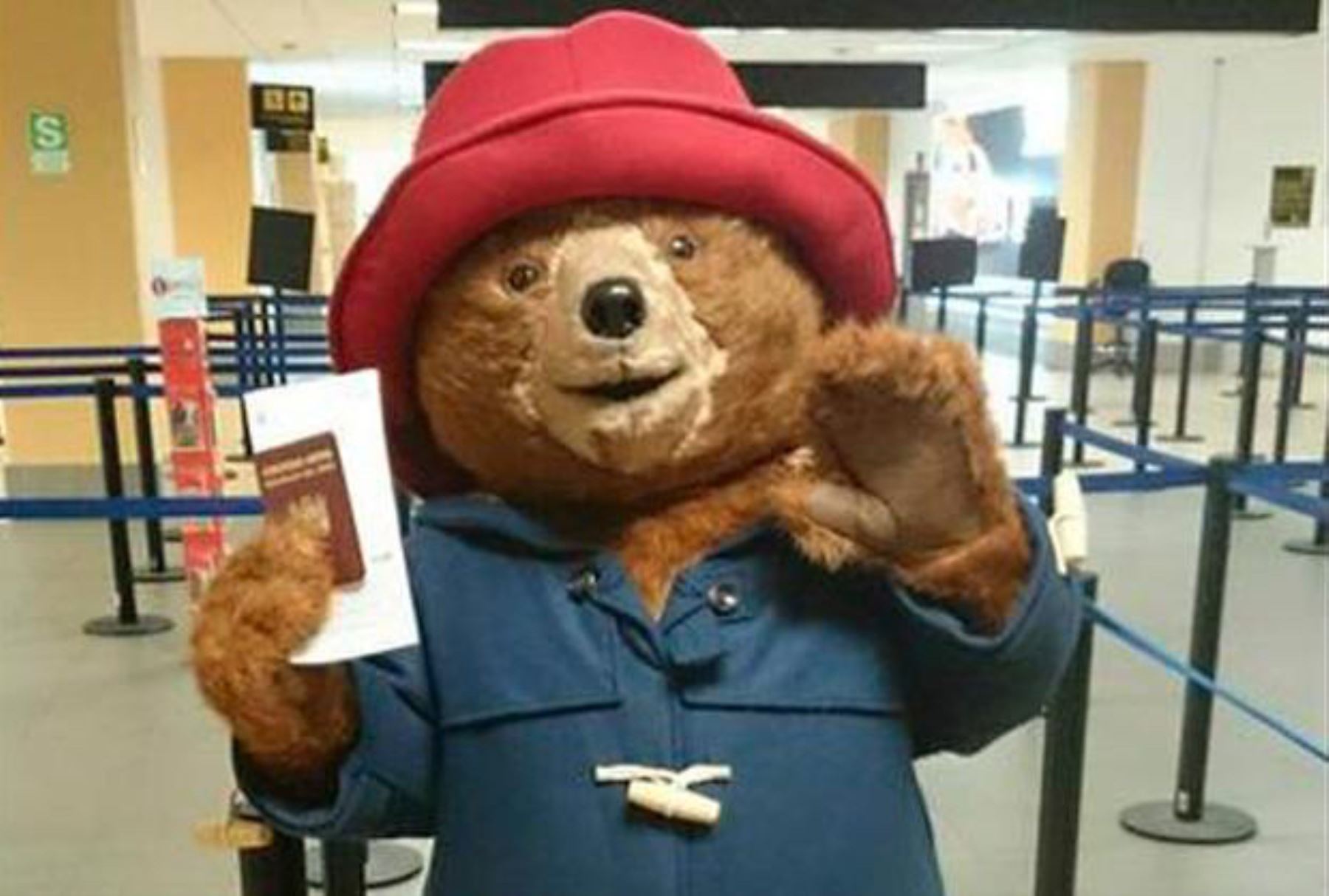 Osito Paddington.