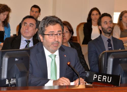 Foto: ANDINA/Difusión.